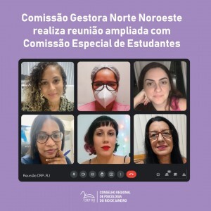 comissao-gestora-norte-noroeste-realiza-reuniao-com-comissao-de-estudantes-do-crp-rj